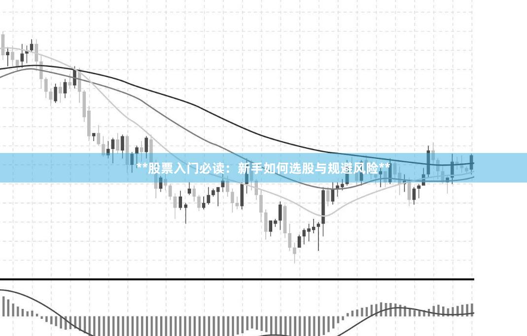 **股票入门必读：新手如何选股与规避风险**